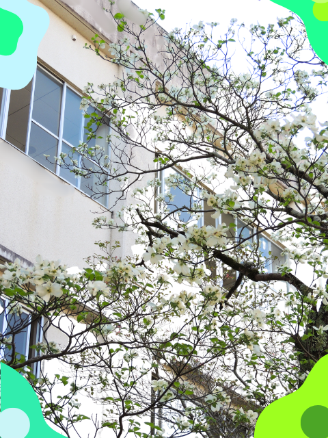 本日はご参観ありがとうございました！